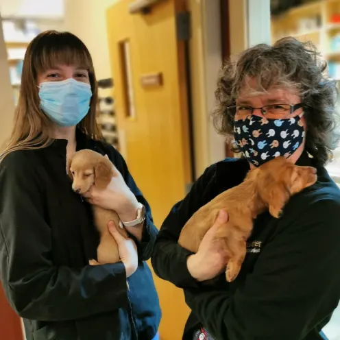 Two LVH staff holding puppies